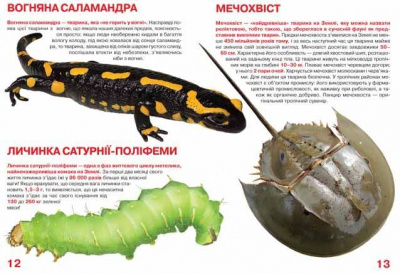 Книга Велика книга. Рекорди тваринного світу (укр) Crystal Book F00017392