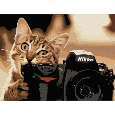 Картина по номерах Пухнастий фотограф 40х50 см Art Craft 11608-AC