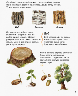Дитяча енциклопедія про ліс 614016 для дошкільнят