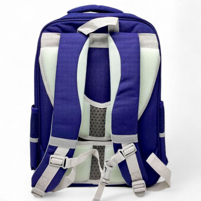 Рюкзак шкільний, 30х42х18 см (ВИД 2) MIC C72825