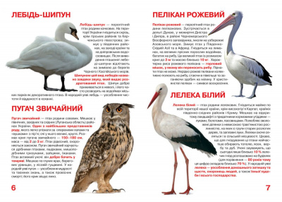 Книга Велика книга. Тваринний світ України (укр) Crystal Book F00012690