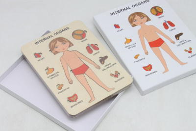 Пазли навчальні Internal Organs: Дівчинка Strateg 30349
