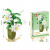 Дитячий конструктор "Квіти Epiphyllum" Flower Studio 9104A 571 деталь