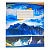 Зошит кольоровий 48 аркушів, клітинка (16 штук в упаковці) Мрії Збуваються 3814