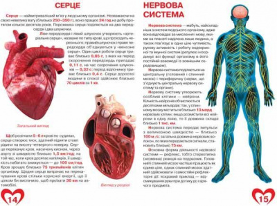Книга Велика книга. Анатомія людини (укр) Crystal Book F00014783
