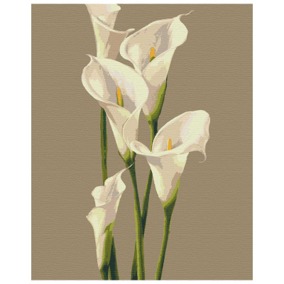 Картина за номерами Ніжність Riviera Blanca RB-0531