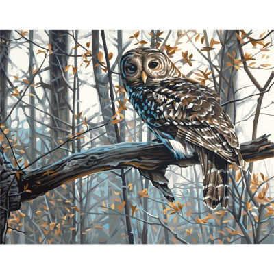 Картина по номерах Зимова сова 40х50 см Origami LW3265