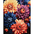 Картина за номерами "Барвисті жоржини" ©art_selena_ua KHO3248, 40х50см