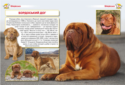 Книга Енциклопедія. Собаки  (укр) Crystal Book F00028100