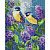 Алмазна мозаїка Весняний дует 40х50 см Ідейка AMO8087