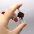 3D Брелоки ROBLOX BONE BLOSSOM / ФРУКТ КІСТКА GAG, Keychain, 3D друк OYTOY 02014100