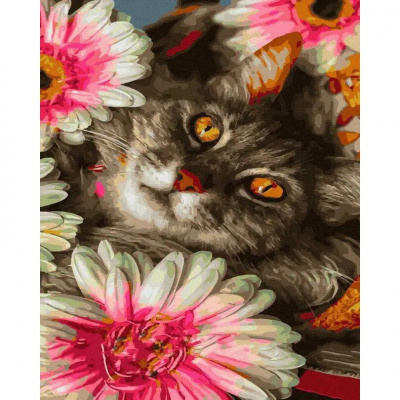 Картина за номерами Кіт у квітах 40х50 см Rainbow Art GX45126
