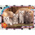 Пазли Чотири кошеня, 70 елем. Gtoys AN146 Пазли Чотири кошеня, 70 елем. Gtoys AN146