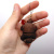 3D Брелоки CUTE BEAR / Милий ВЕДМЕДИК, Keychain, 3D друк OYTOY 03034100