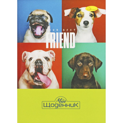 Щоденник шкільний Friend, мʼяка палітурка Апельсин АП-0103