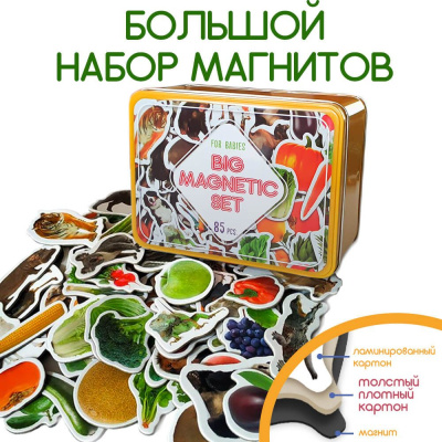 Набір магнітів Дитячий світ, 85 шт MiC ML4031-61 EN