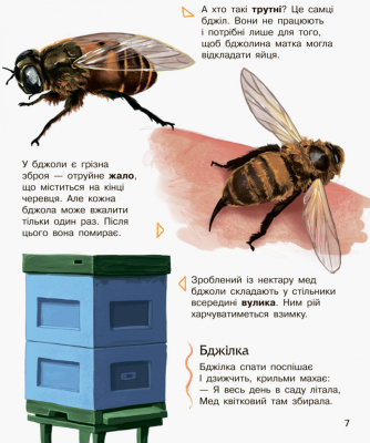 Дитяча енциклопедія про комах 614014 для дошкільнят