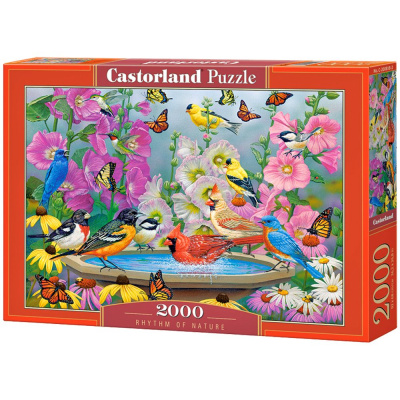 Пазли Ритм природи, 2000 елементів Castorland C-200818