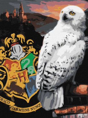 Картина за номерами - Harry Potter: Гедвіґа та Гоґвортс ©Warner Bros. Ideyka KHO5258