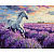 Картина за номерами У лавандових полях 40х50 см Ідейка KHO6659