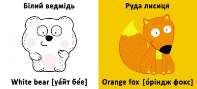Книга-картонка Веселі крутилки. Кольори (укр) Crystal Book F00021265