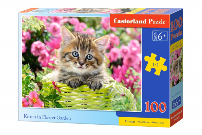 Пазли Кошеня, 100 елементів Castorland B-111039