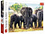 Пазли Африканські слони, 1000 елементів Trefl 10442