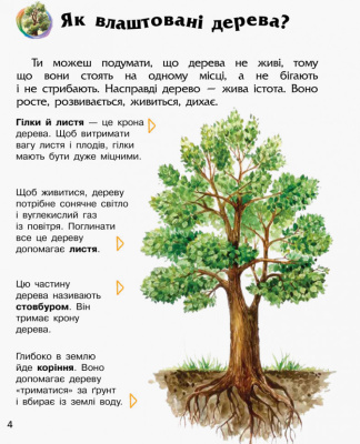 Дитяча енциклопедія про ліс 614016 для дошкільнят