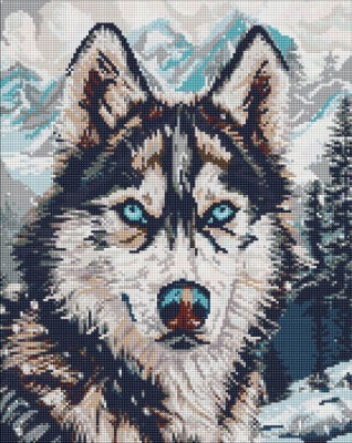 Алмазна мозаїка - Очі півночі ©art_selena_ua, 40х50см Ideyka AMO20041