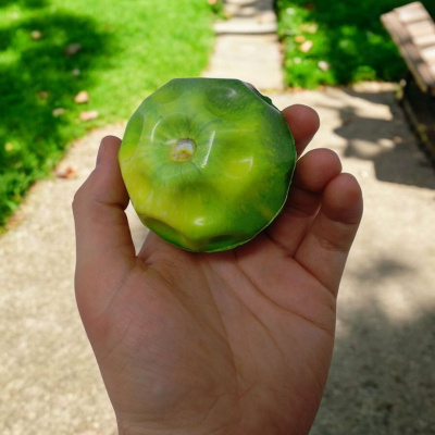 Мячик Gravity Moon Ball Фрукти антигравитационный, 7 см, со светом, микс, 1 штука MIC PR2442