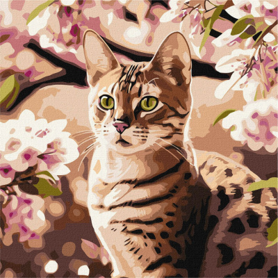 Картина за номерами "Кошеня в саду" ©art_selena_ua KHO6513 40х40 см Ідейка