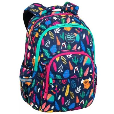 Рюкзак молодіжний Basic Plus LADY COLOR (43х31х19 см; 24 л) CoolPack F003702