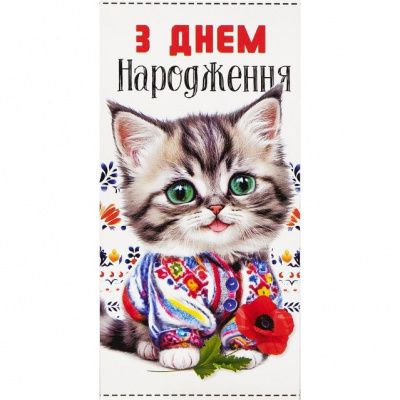 Конверт вітальний (для грошей) 16.5х9х0,5 см FIESTA КВ 24-65