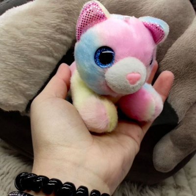 Кошеня з переноскою Plush Pet House (малиновий) MIC DR5109