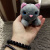Кошеня з переноскою Plush Pet House (фіолетовий) MIC DR5109 Кошеня з переноскою Plush Pet House (фіолетовий) MIC DR5109