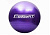 М'яч для фітнеса EasyFit 85 см фіолетовий EasyFit EF-3009-V