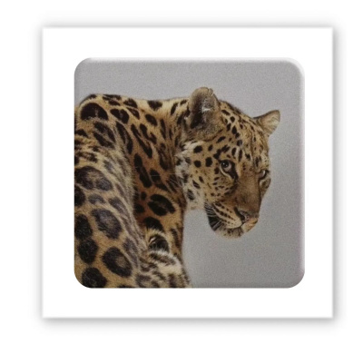 3D стікер Wild cat (ціна за 1 шт) Tattooshka SX-145