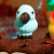 Іграшка, що зростає "Пташки" #sbabam 91/CN22 в яйці «Eggy Animals» Іграшка, що зростає "Пташки" #sbabam 91/CN22 в яйці «Eggy Animals»