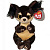 Дитяча іграшка м’яконабивна Beanie Booʼs. СОБАЧКА ТОФФІ 15 см TY 37393