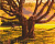 Картина за номерами. Art Craft "Старійшина парку" 40 * 50 см 10528-AC