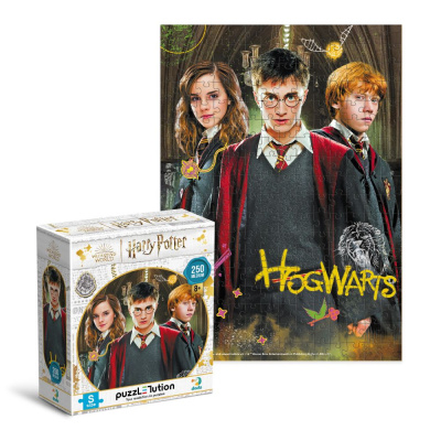Пазл  Harry Potter. Гаррі та друзі Medium-S (250 елем) Dodo 200498