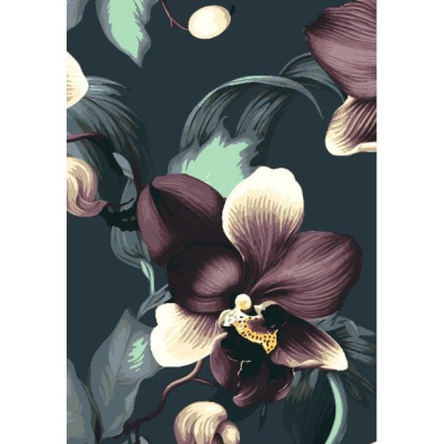 Картина по номерах Чарівливі квіти 28x40 см Riviera Blanca RB-0599