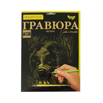 Гравюра А4 Golden Metallic, Собачка Dankotoys ГР-А4-02-11з