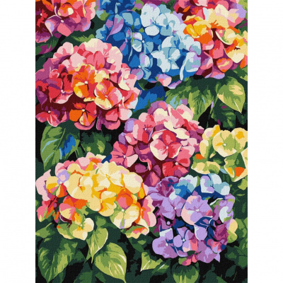 Картина за номерами "Різнокольорові гортензії" ©art_selena_ua KHO3299, 30х40 см