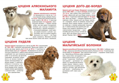 Книга Велика книга. Цуценята (укр) Crystal Book F00018782