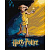 Картина за номерами Harry Potter: Постер з Добі 40х50см Ідейка KHO5221