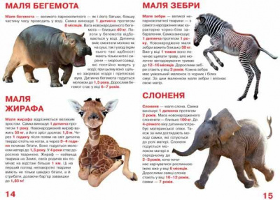 Книга Велика книга. Дитинчата тварин (укр) Crystal Book F00012196