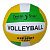 Мʼяч волейбольний Mibalon official (вид 6) MIC BT-VB-0081