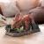 CubicFun Тривимірна головоломка-конструктор National Geographic Dino Трицератопс Cubic Fun DS1052h CubicFun Тривимірна головоломка-конструктор National Geographic Dino Трицератопс Cubic Fun DS1052h
