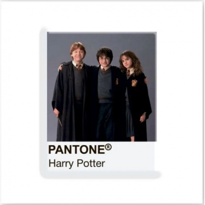 3D стікер Pantone Potter 2 (ціна за 1 стікер) Tattooshka SX-264